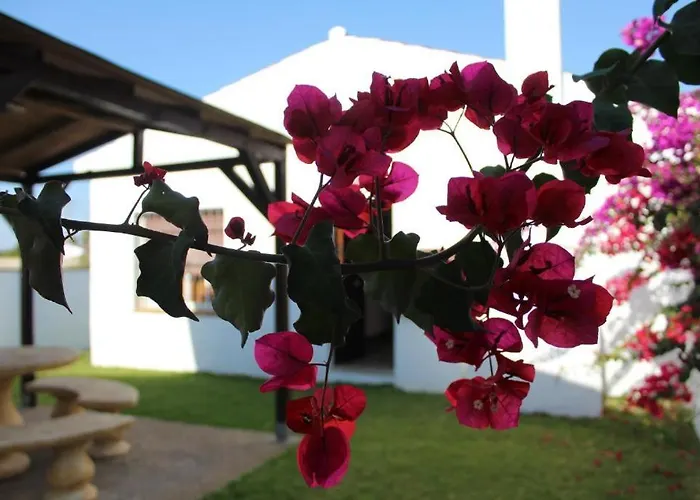 Landhaus Hacienda Majadales Conil De La Frontera