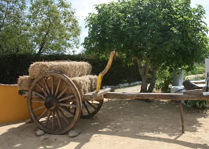 Hacienda Majadales * Conil De La Frontera