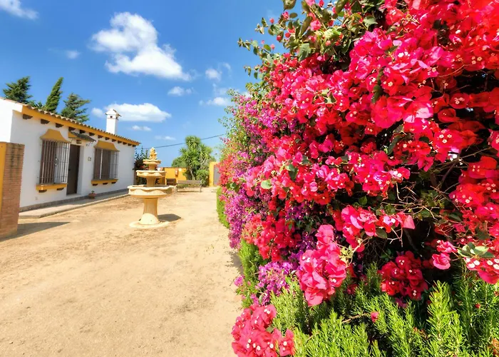 Country house Hacienda Majadales *